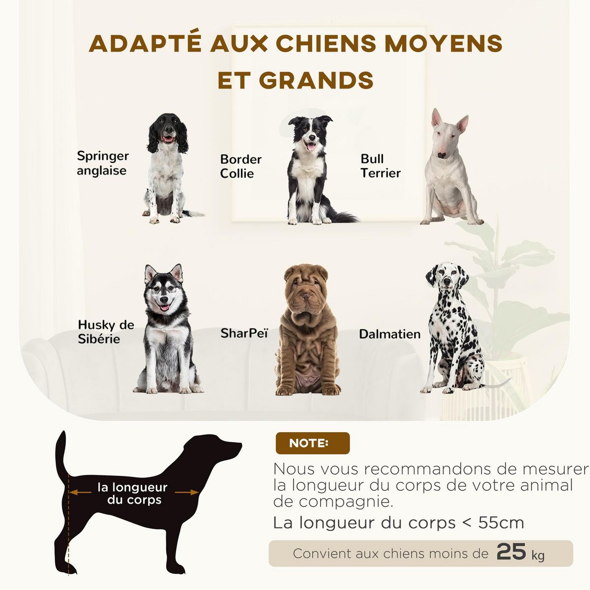 PAWHUT Canapé chien lit pour chien chat design contemporain coquillage dim. 98L x 60l x 35H cm coussin moelleux velours gris