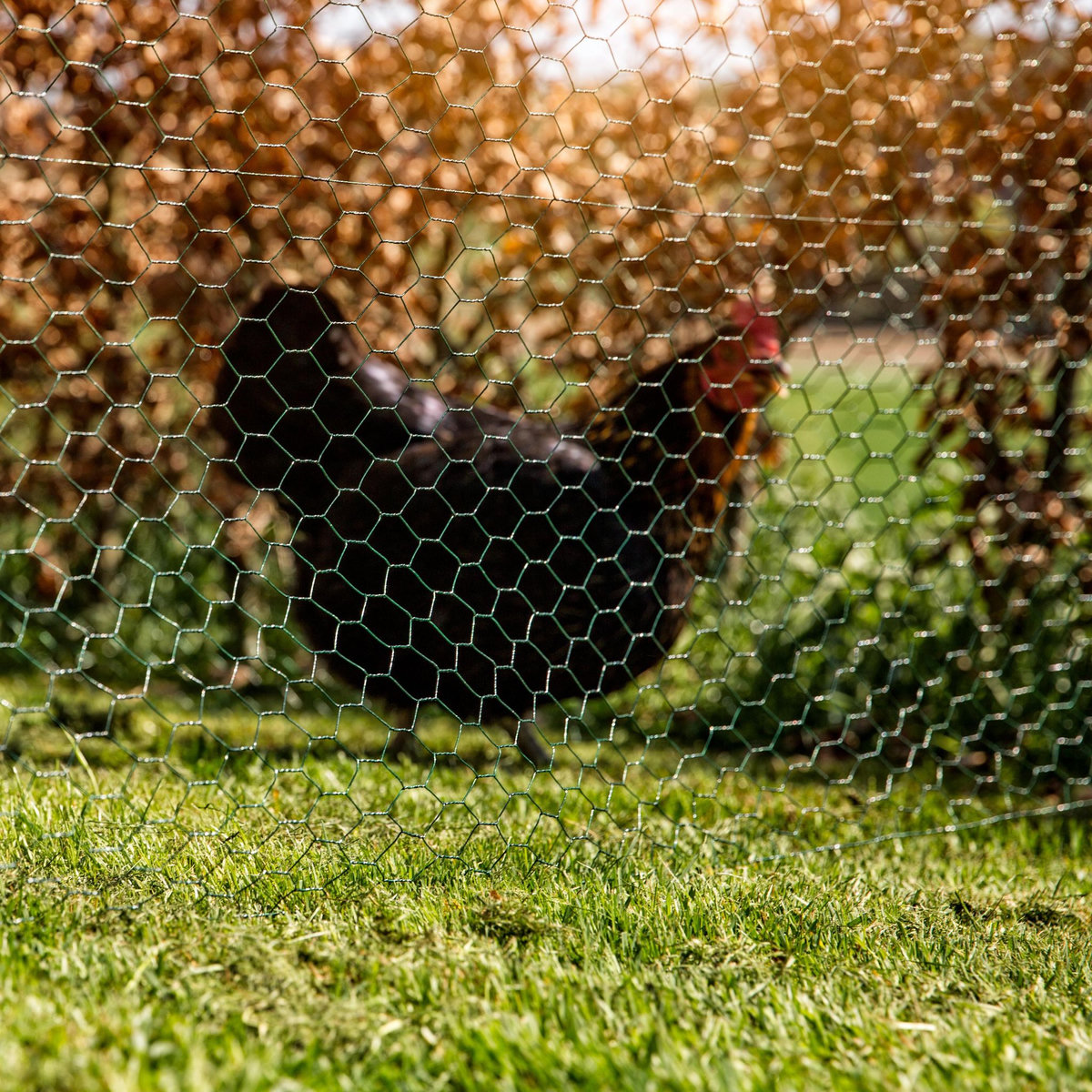  Grillage vert Windhager mailles 13mm  1x10m