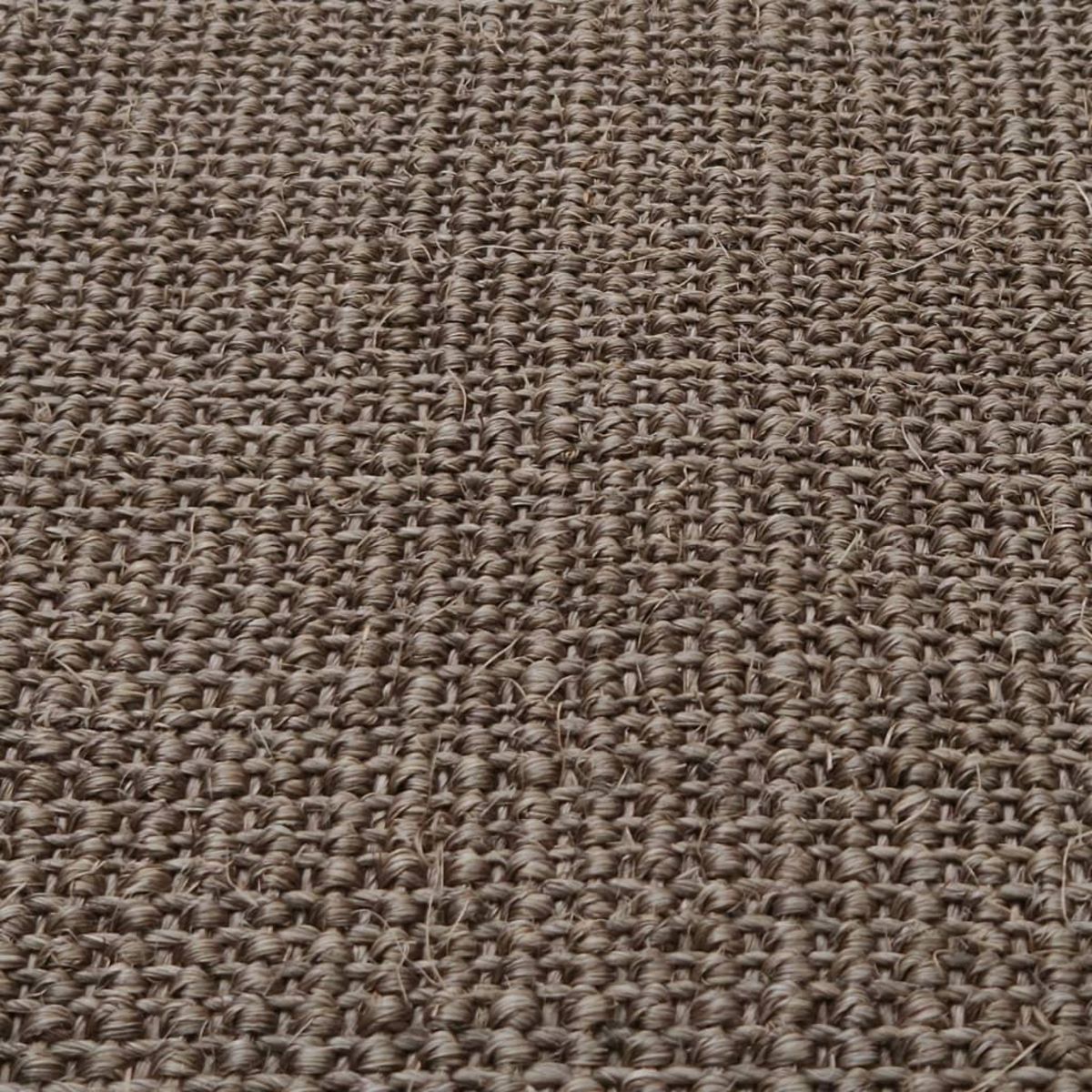 VIDAXL Tapis Sisal naturel 66x250 cm Marron