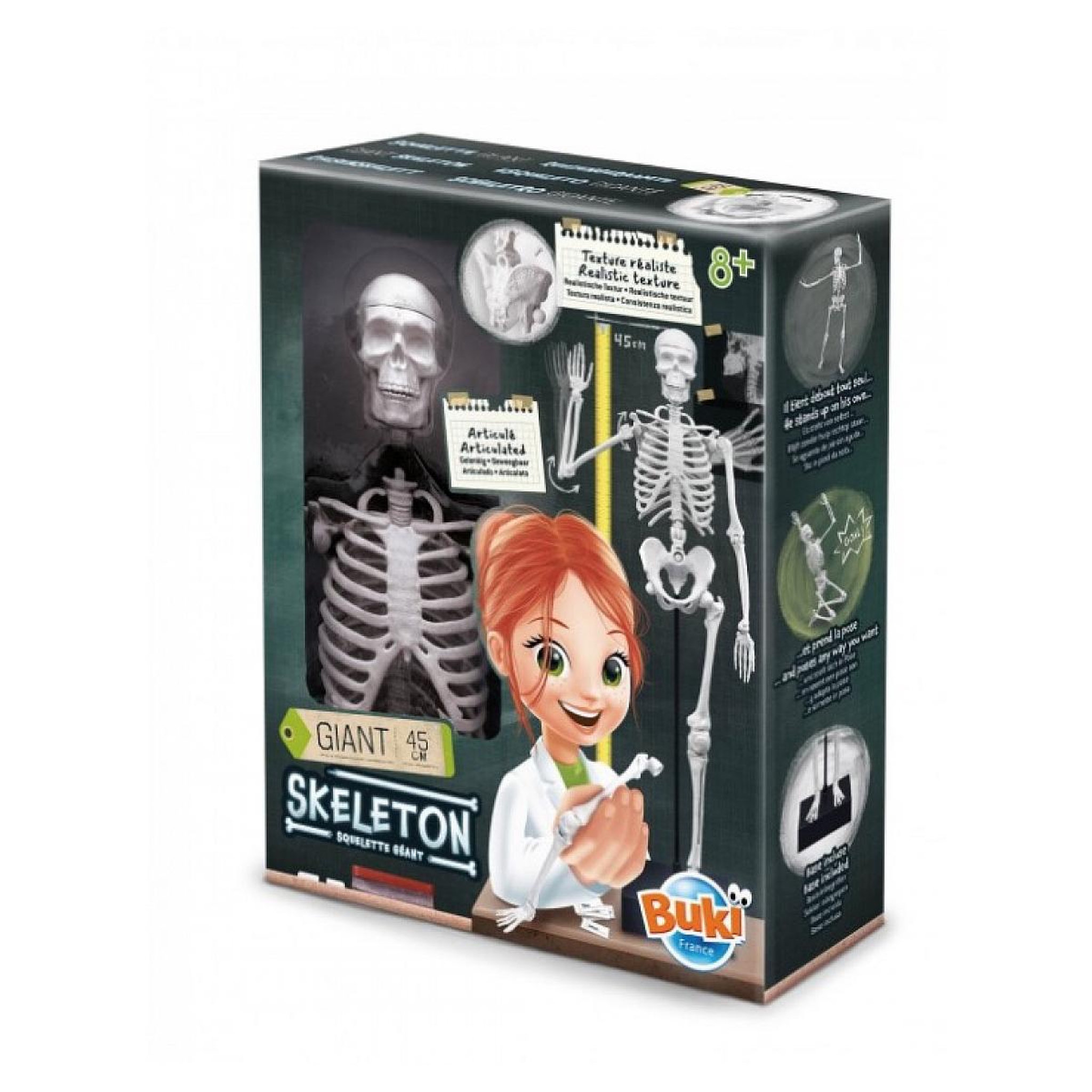 BUKI Squelette de 45 cm a construire – buki