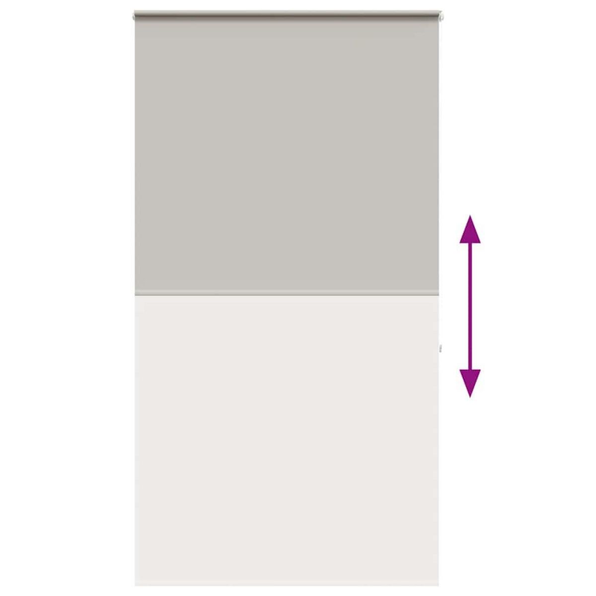 VIDAXL Store enrouleur de douche avec cassette largeur du tissu 136 cm