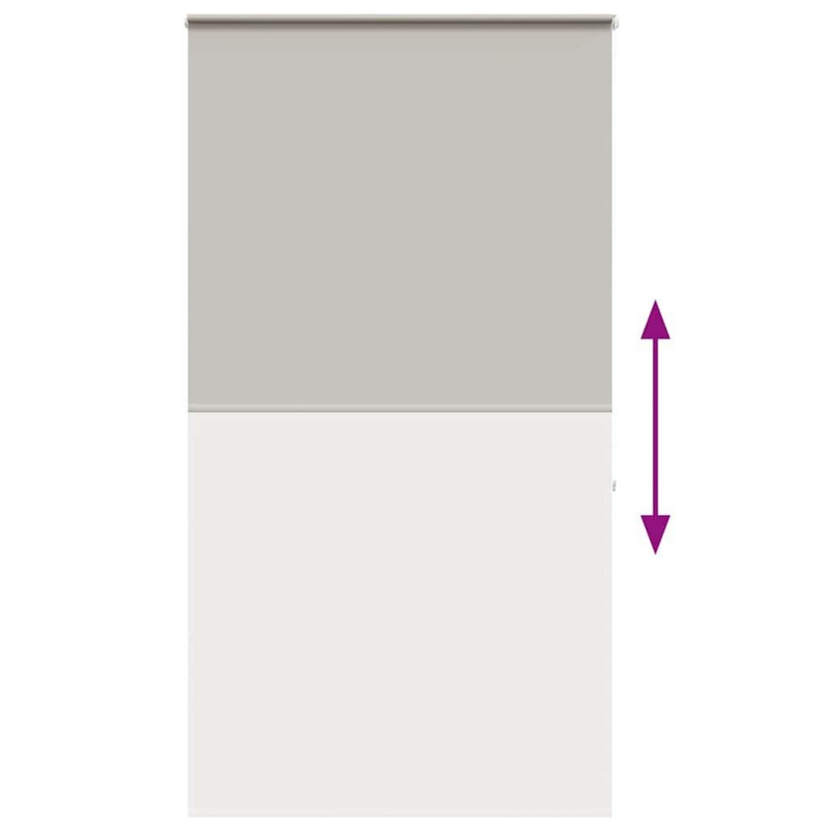 VIDAXL Store enrouleur de douche avec cassette largeur du tissu 136 cm