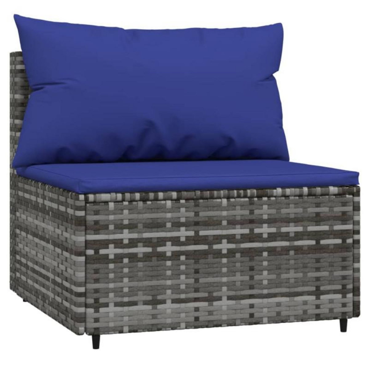 VIDAXL Canapés centraux de jardin et coussins 2pcs Gris Résine tressée