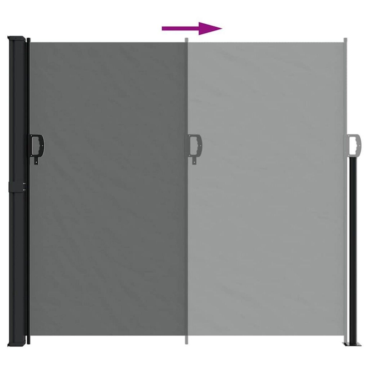 VIDAXL Auvent lateral retractable anthracite 180x300 cm