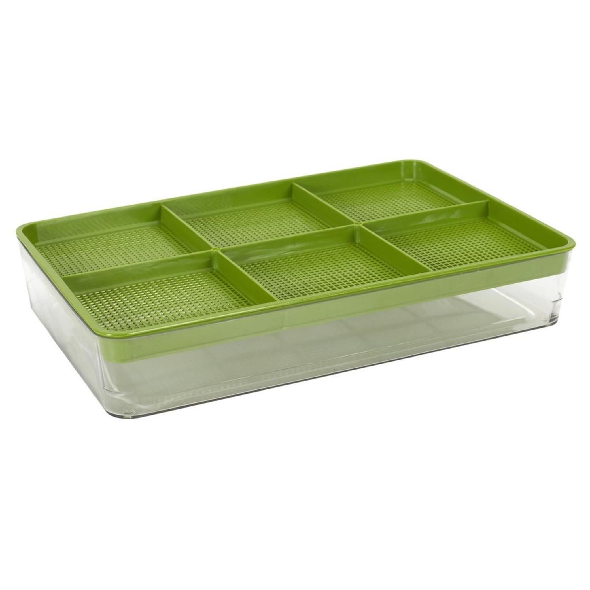 Voir la diapositive 2 : COOK CONCEPT Plateau de germination  graines  30cm vert