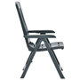 Voir la diapositive 4 : VIDAXL Chaises inclinables de jardin lot de 2 Plastique Vert