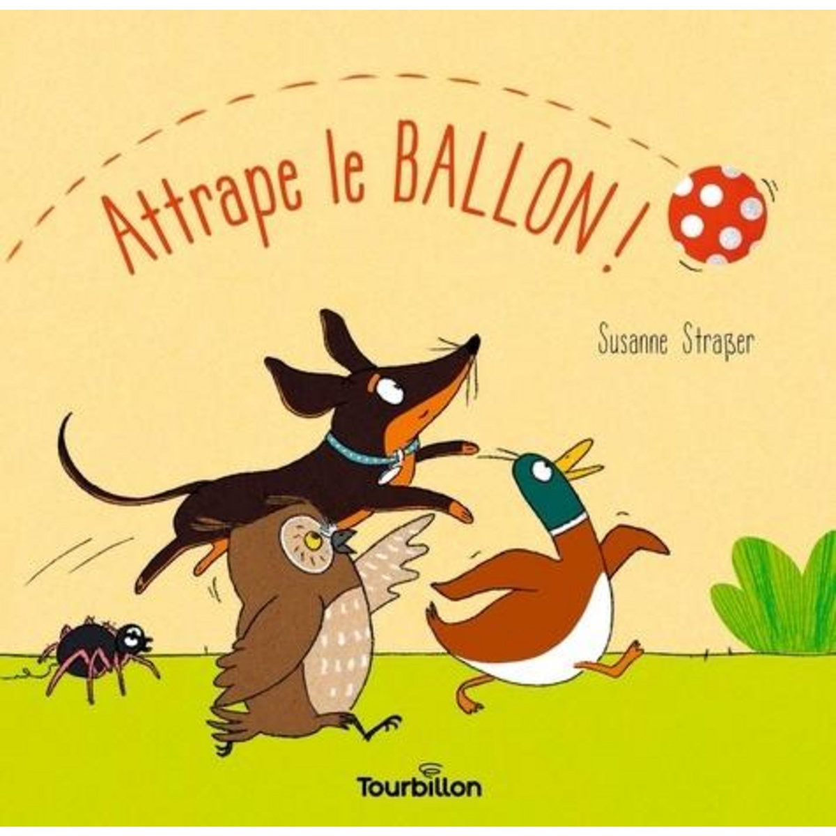 ATTRAPE LE BALLON !, Strasser Susanne