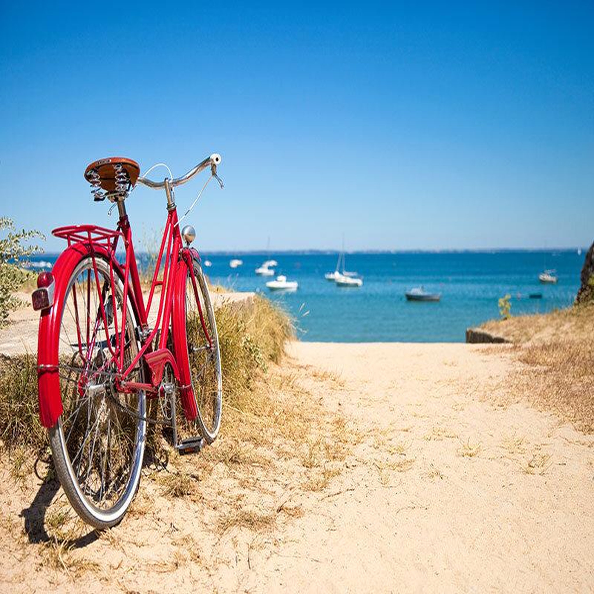 Voir la diapositive 4 : Smartbox 2 jours avec dîner et location de vélos en hôtel 4* sur l'île de ré - coffret cadeau séjour