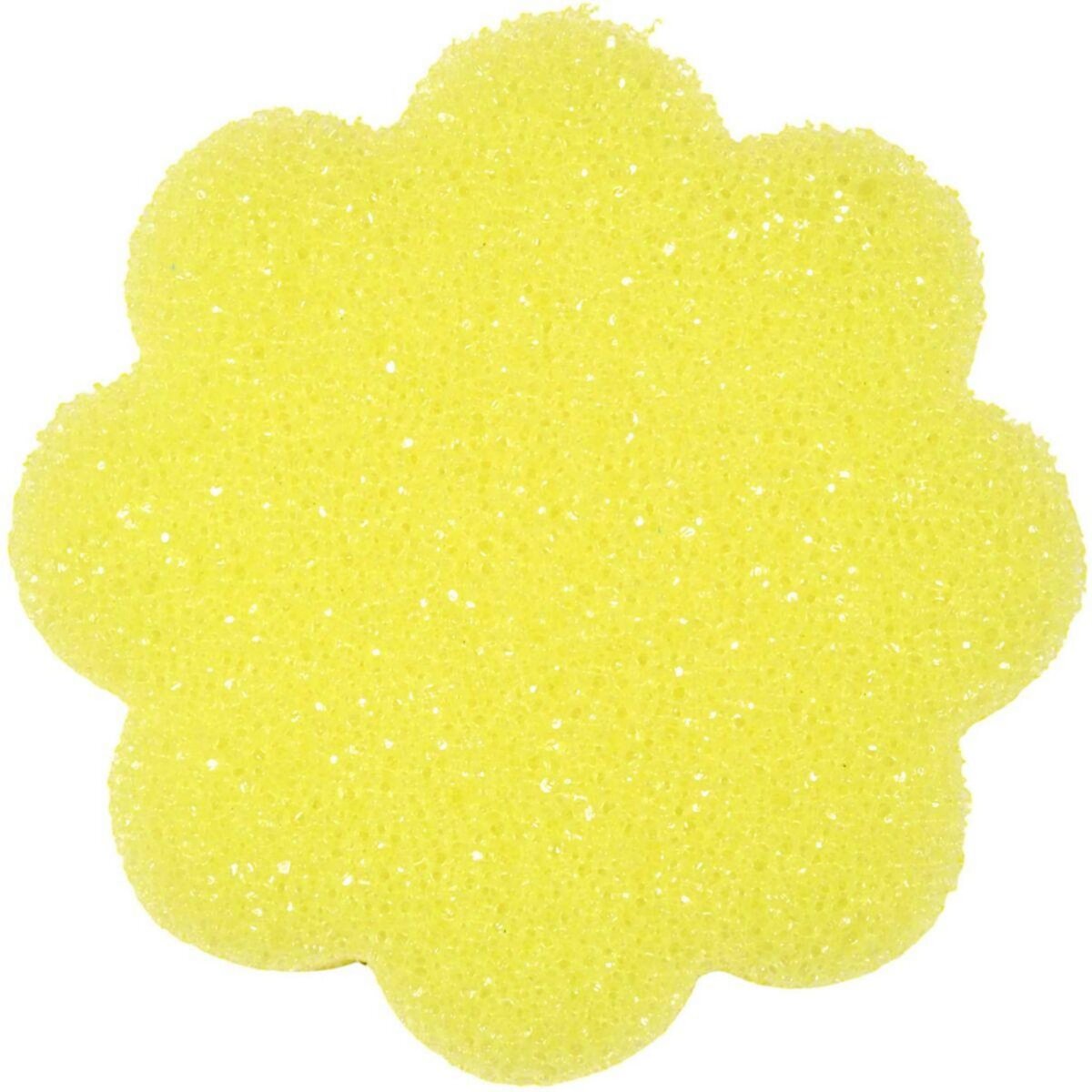 Je cherche une idee Eponge magique EPONGE SCRUB FLEUR X3 M24