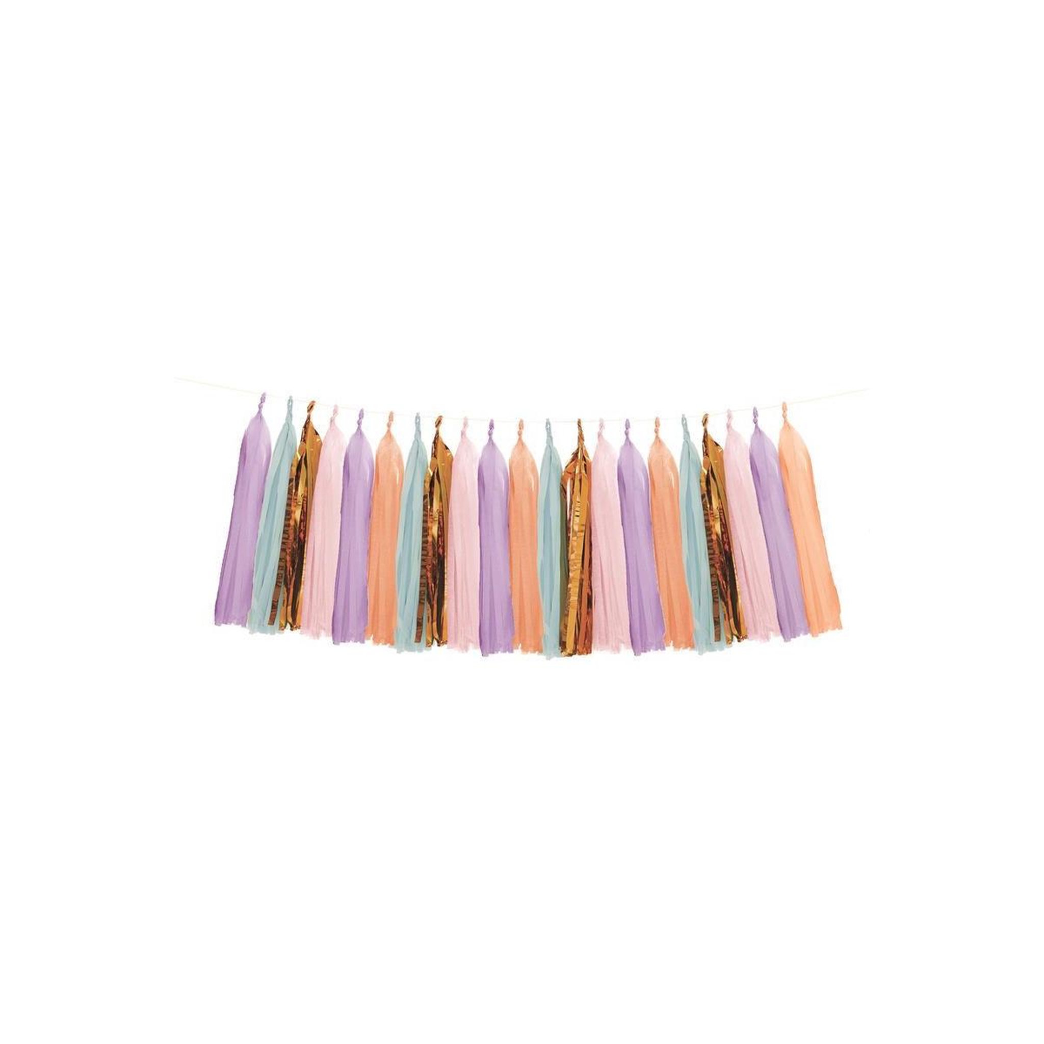 PARTY TIME Guirlande  21 Pompons  2m Multicolore