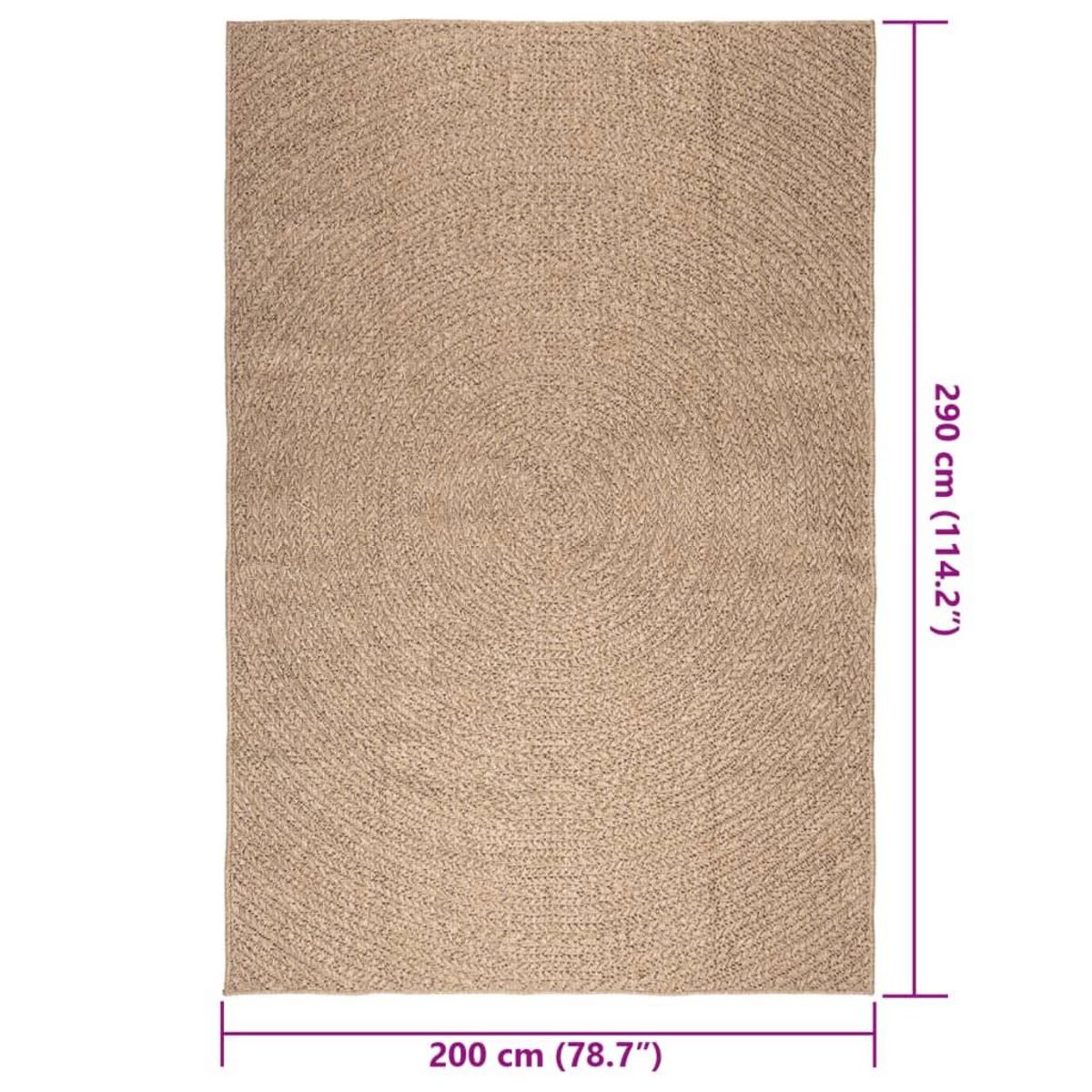 VIDAXL Tapis ZIZUR 200x290 cm aspect de jute interieur et exterieur