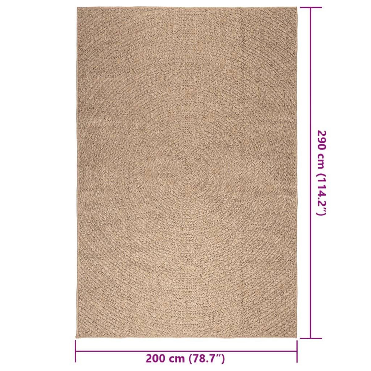 VIDAXL Tapis ZIZUR 200x290 cm aspect de jute interieur et exterieur