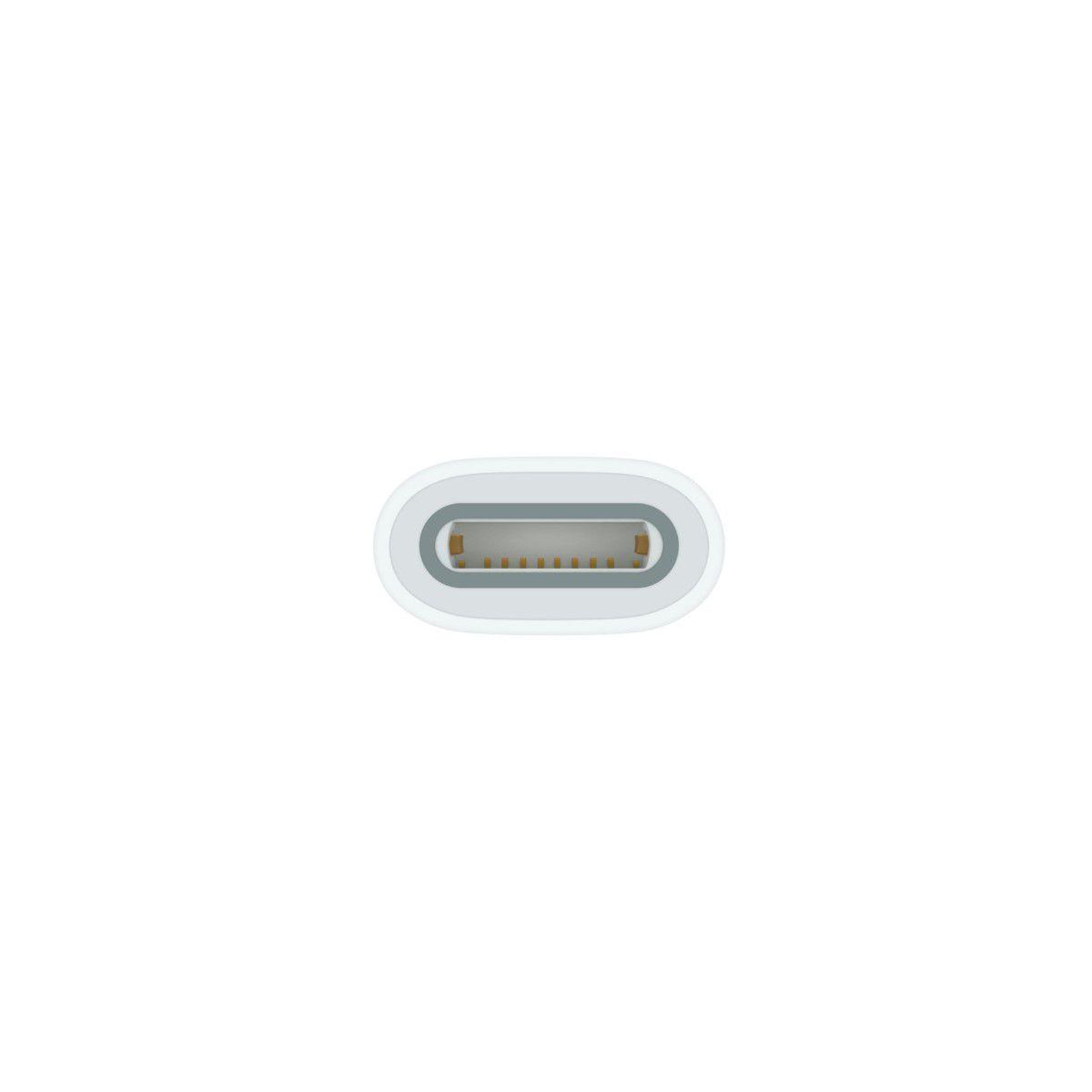 Voir la diapositive 3 : APPLE Adaptateur usb-c pour pencil