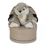 Histoire D'Ours Lapin Marius 30cm avec boite