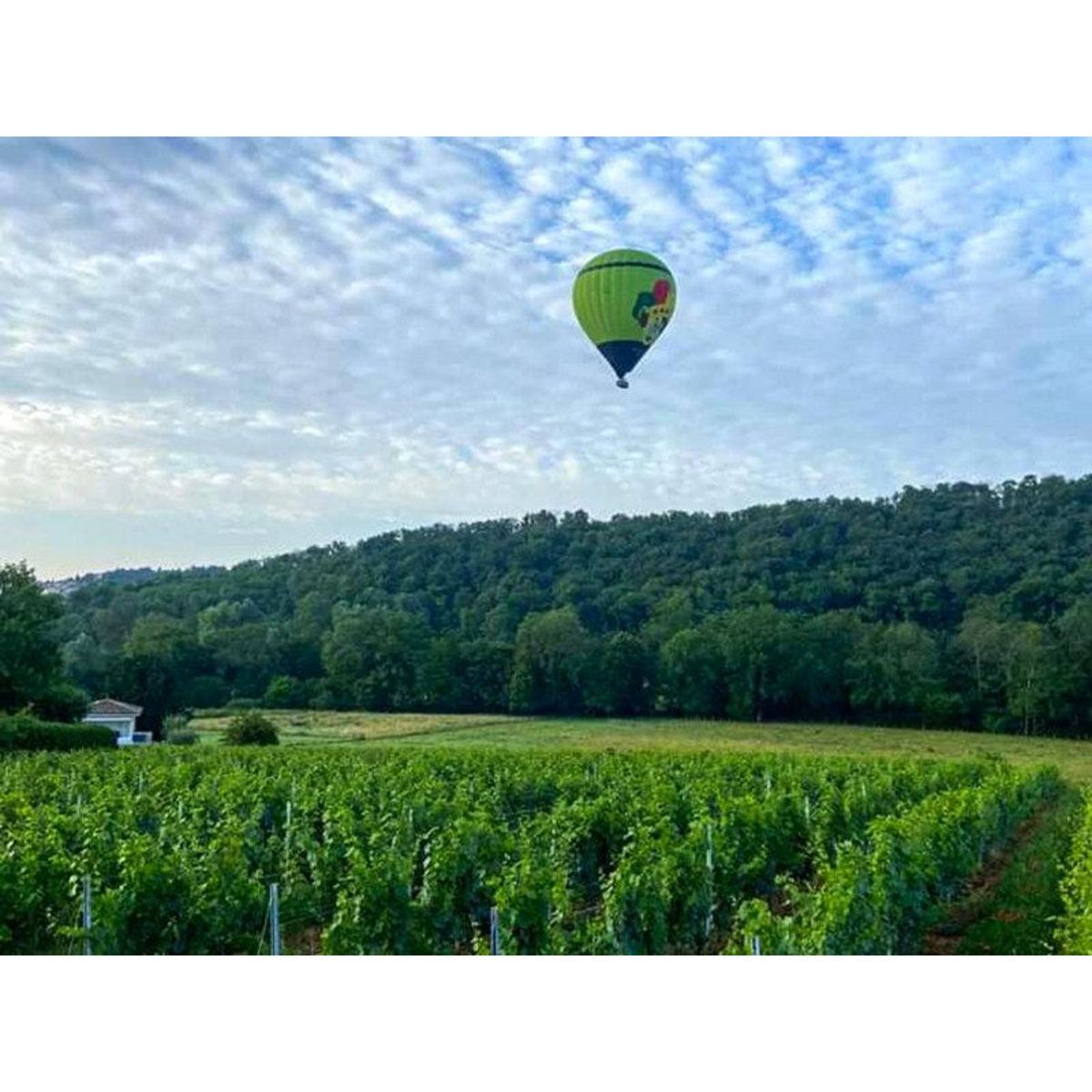 Smartbox Vol en montgolfière au-dessus du Beaujolais en week-end - Coffret Cadeau Sport & Aventure