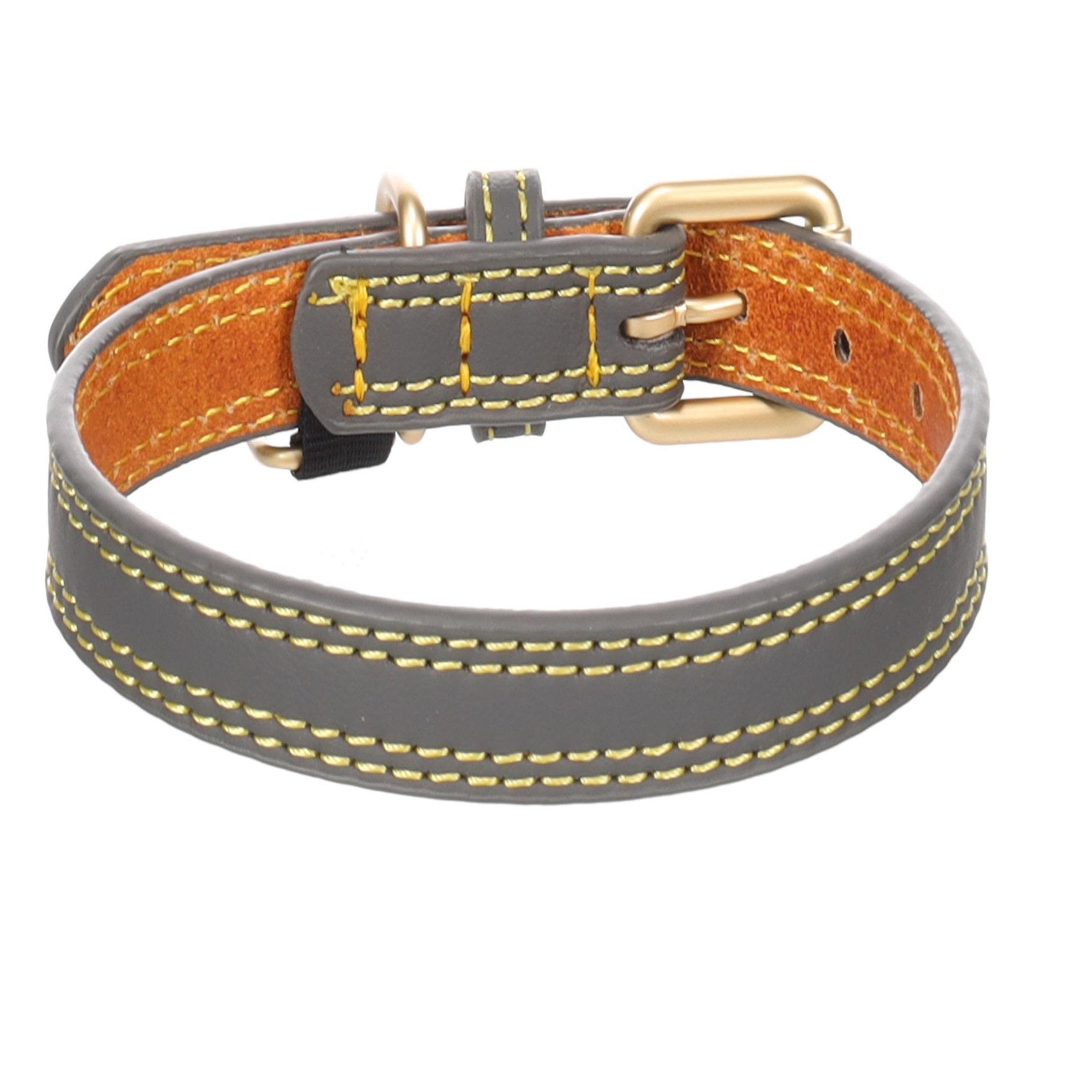 Voir la diapositive 1 : Eden Collier pour chien virginia en cuir