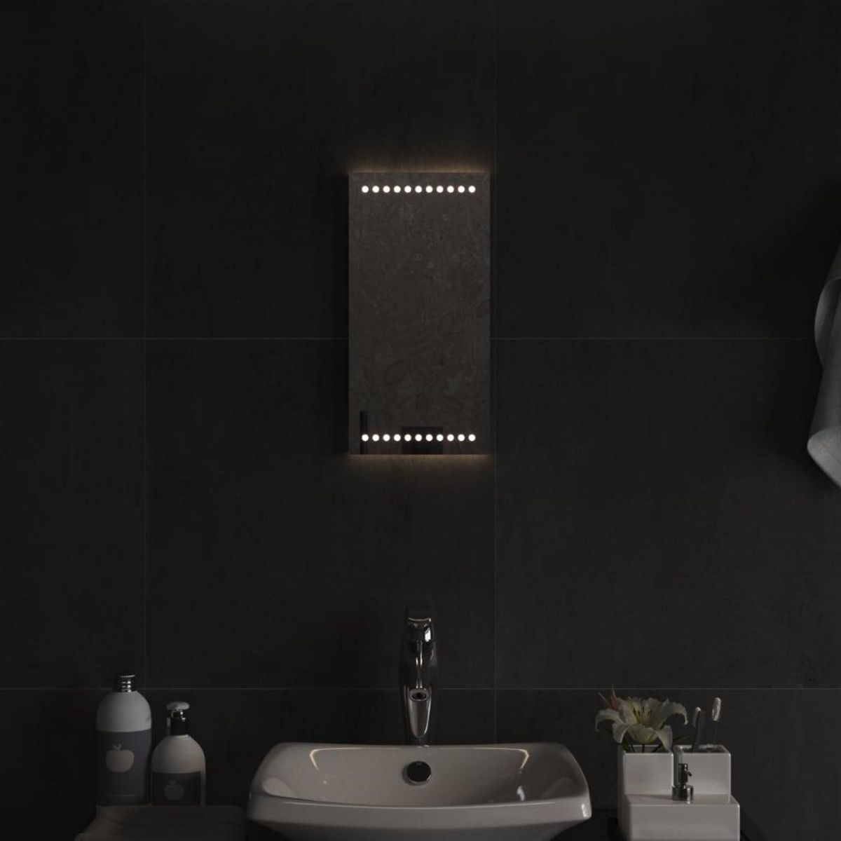 VIDAXL Miroir de salle de bain a LED 20x40 cm