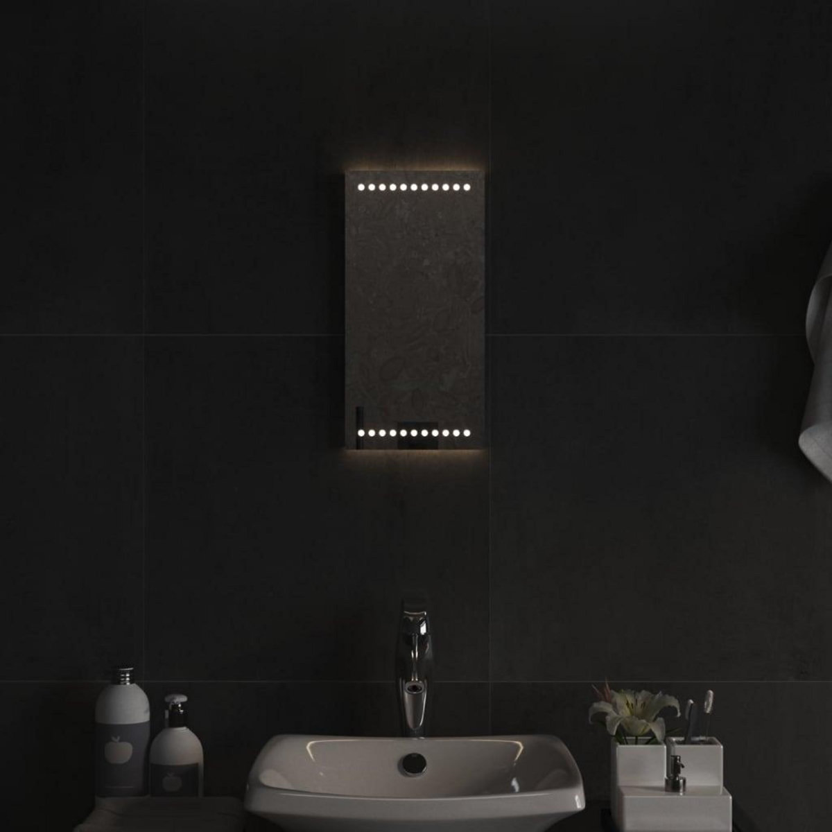 VIDAXL Miroir de salle de bain a LED 20x40 cm