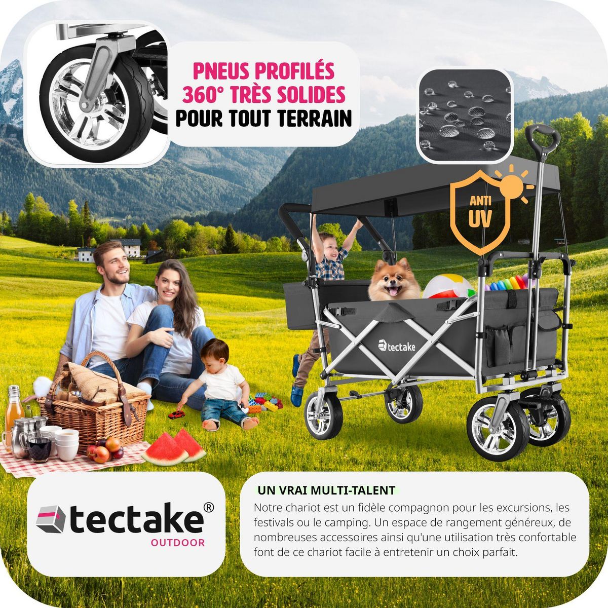 tectake Chariot de jardin et de transport pliable avec toit gris