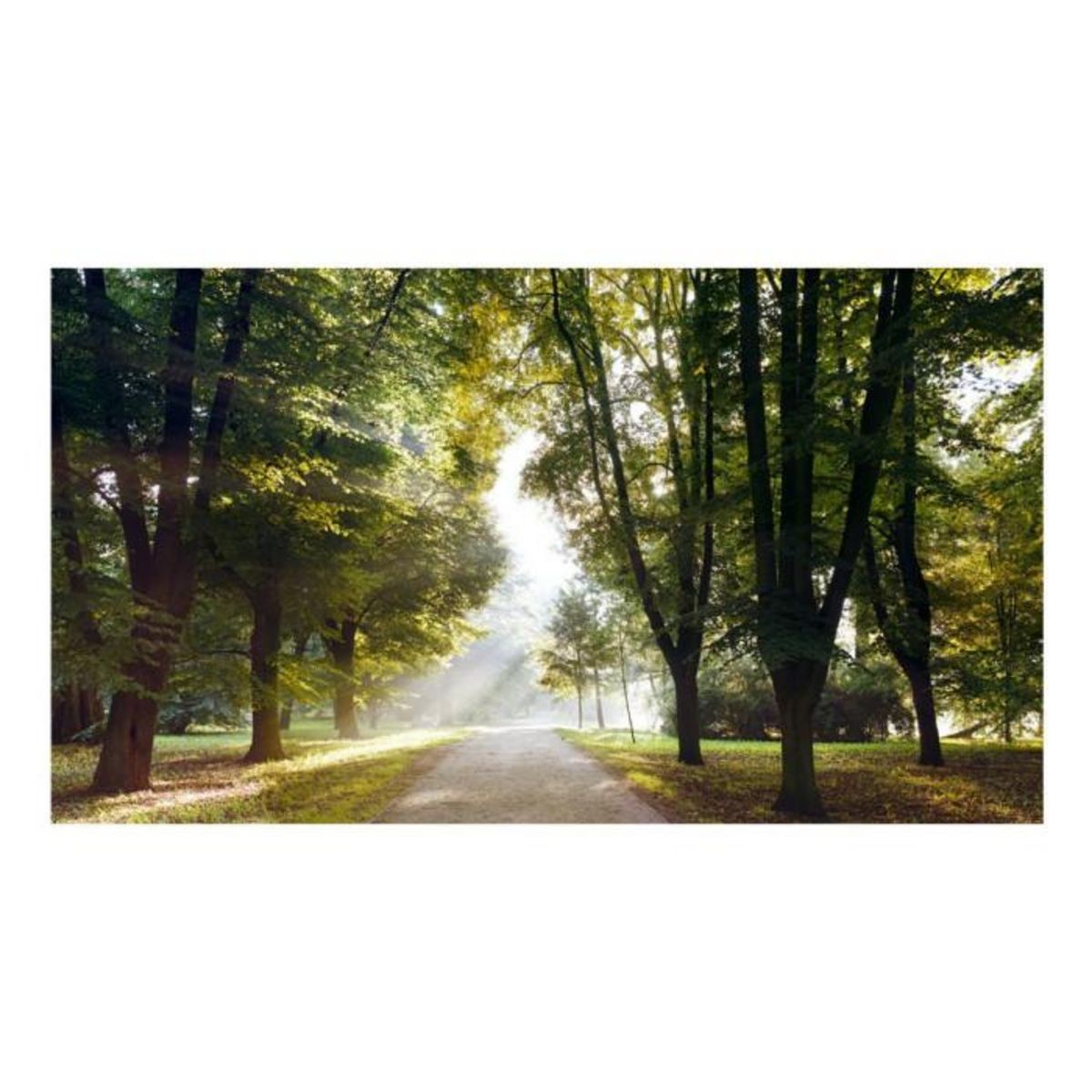 Paris Prix Papier Peint XXL  Morning Walk