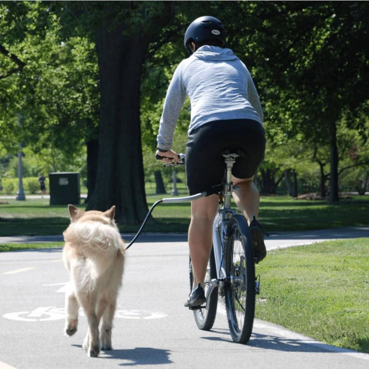 PetEgo PetEgo Laisse de velo universelle pour chiens Cycleash 85 cm