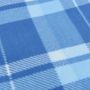 Voir la diapositive 5 : VIDAXL Couverture de pique-nique pliable carreaux bleu 200x150 cm