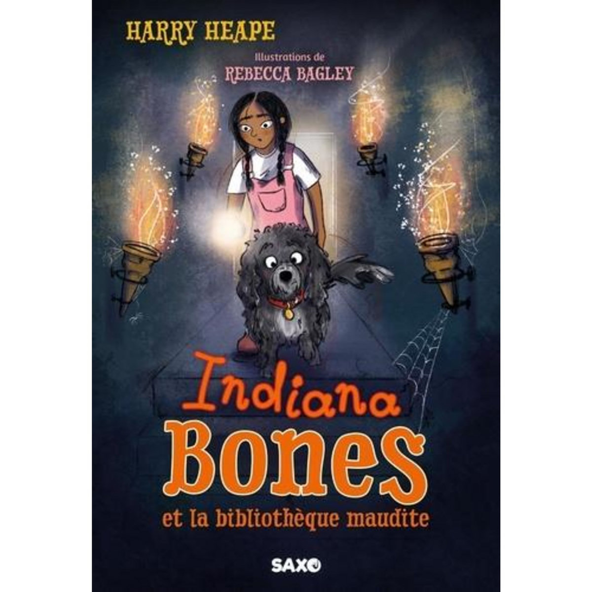 INDIANA BONES TOME 2 : INDIANA BONES ET LA BIBLIOTHEQUE MAUDITE, Heape Harry