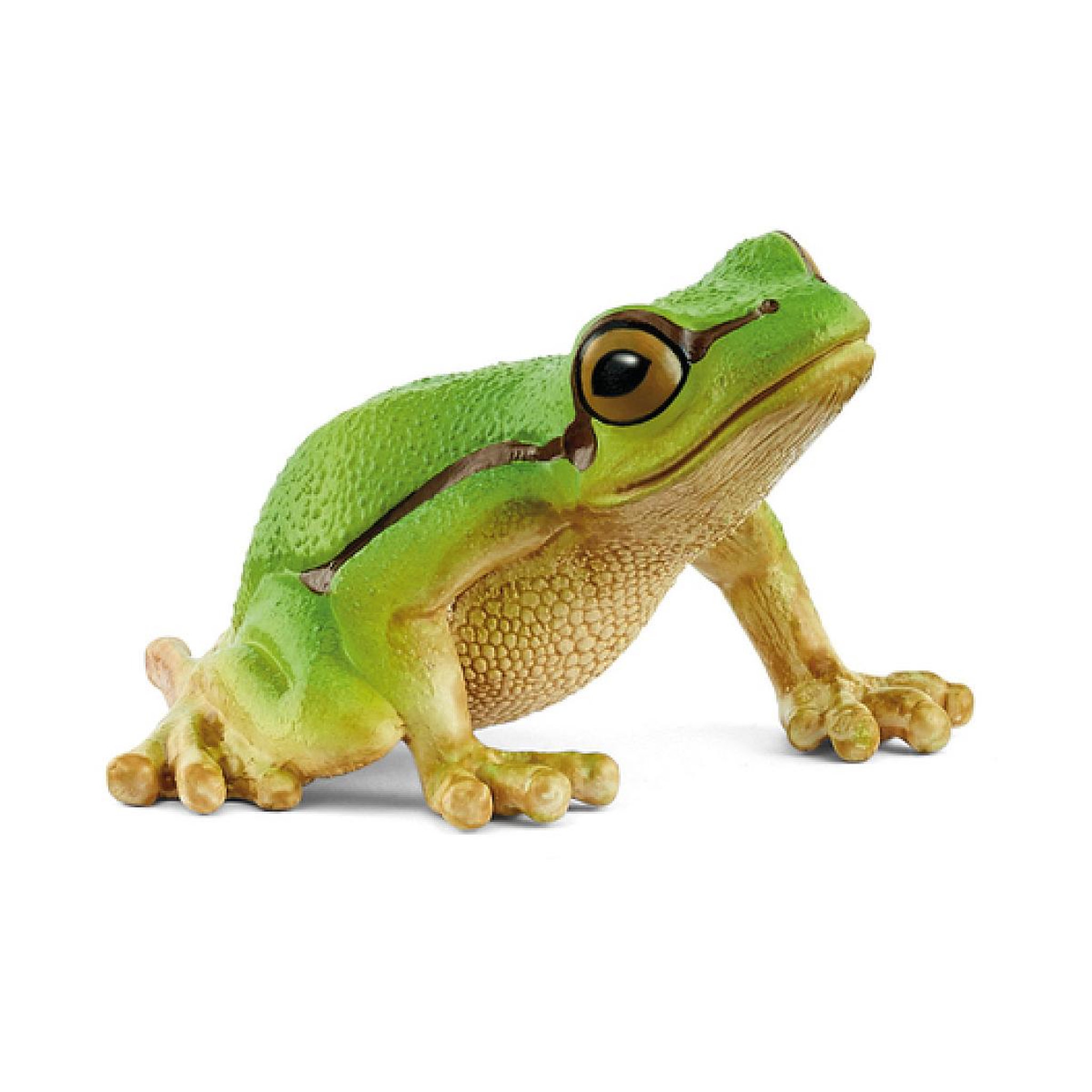 Schleich 14882 figurine Rainette Verte