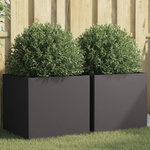 VIDAXL Jardinieres 2 pcs noir 49x47x46 cm acier
