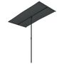 Voir la diapositive 2 : VIDAXL Parasol de jardin avec mat en aluminium 180x110 cm anthracite