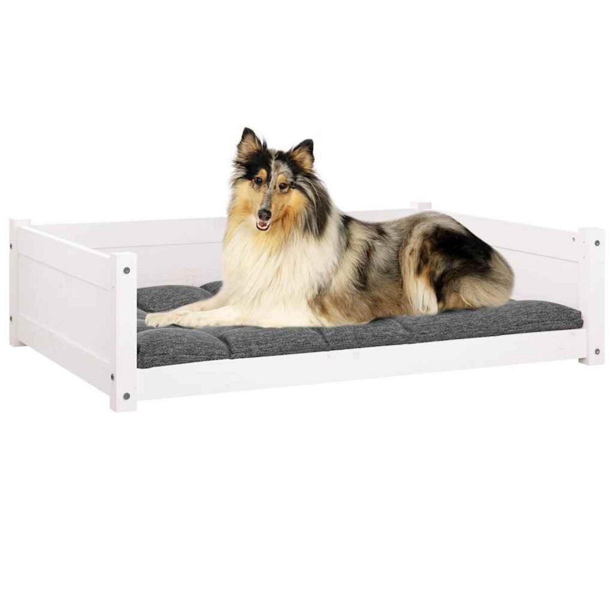 VIDAXL Lit pour chien Blanc 95,5x65,5x28 cm Bois de pin solide
