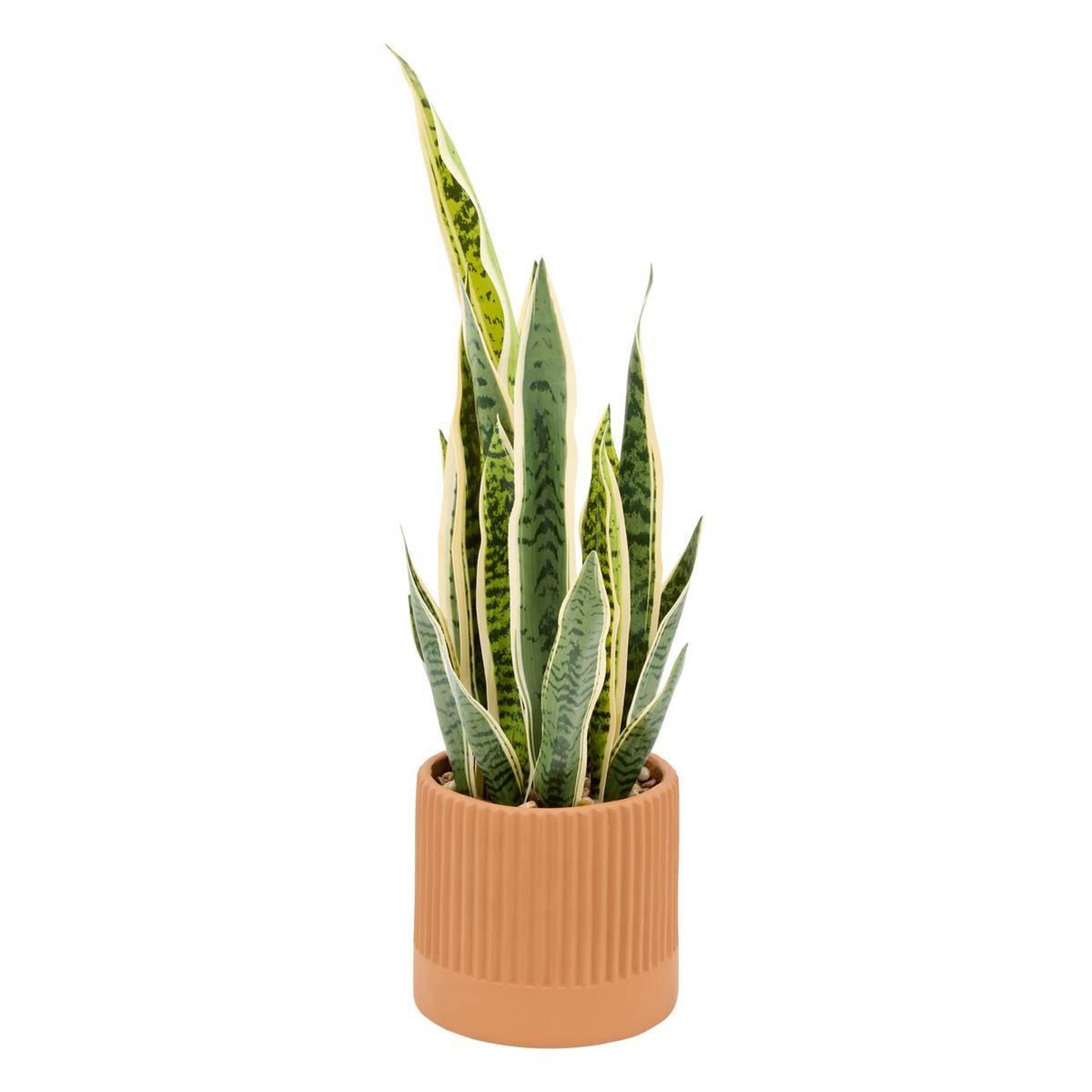 ATMOSPHERA Plante Artificielle en Pot  Sansevieria Nippo  78cm Marron
