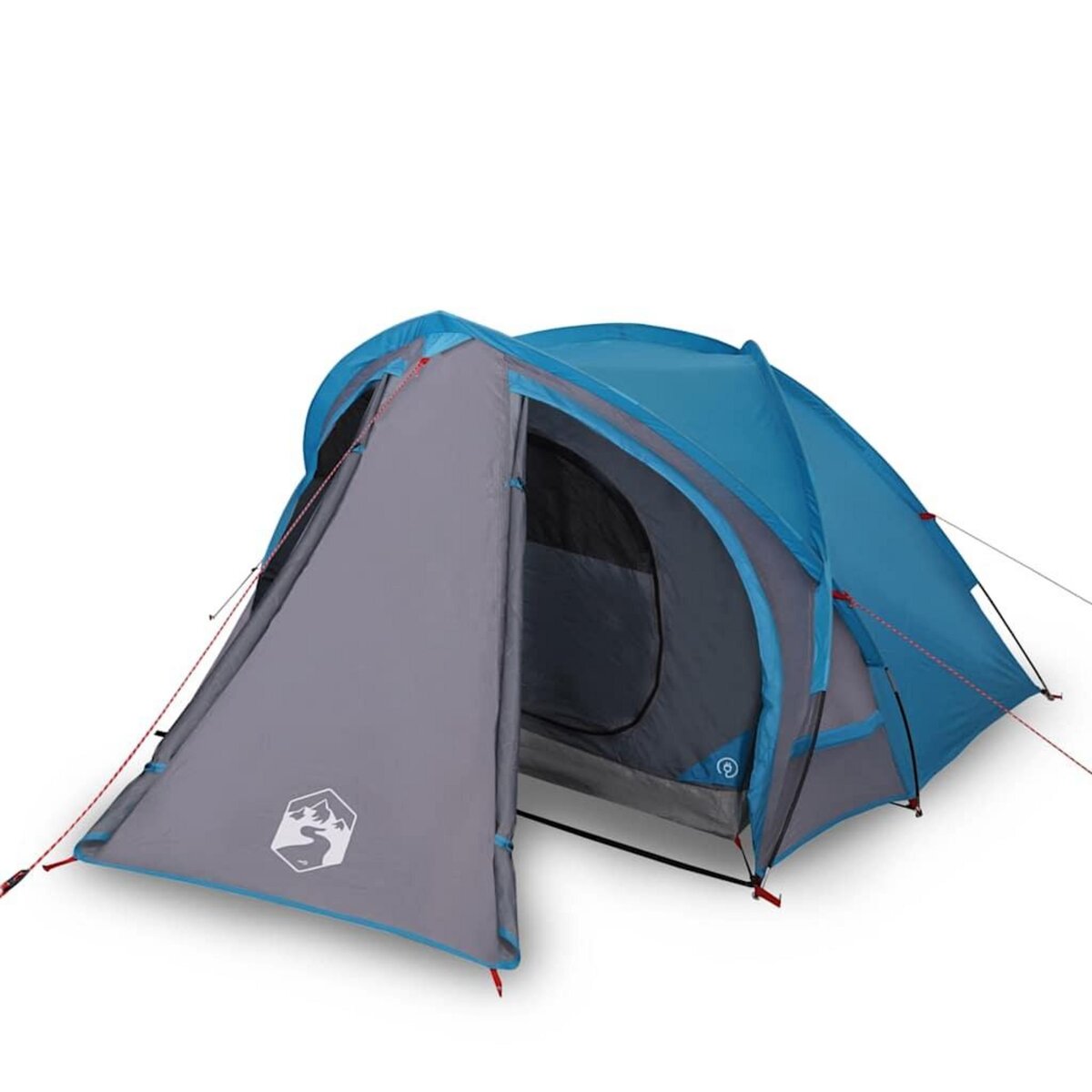 VIDAXL Tente de camping a dome 2 personne bleu impermeable