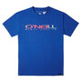 Voir la diapositive 1 : O'NEILL T-shirt Bleu Garçon O'Neill Sanborn