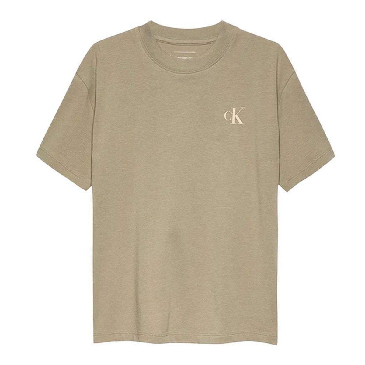 CALVIN KLEIN JEANS T-Shirt Marron Garçon Calvin Klein Jeans Miami