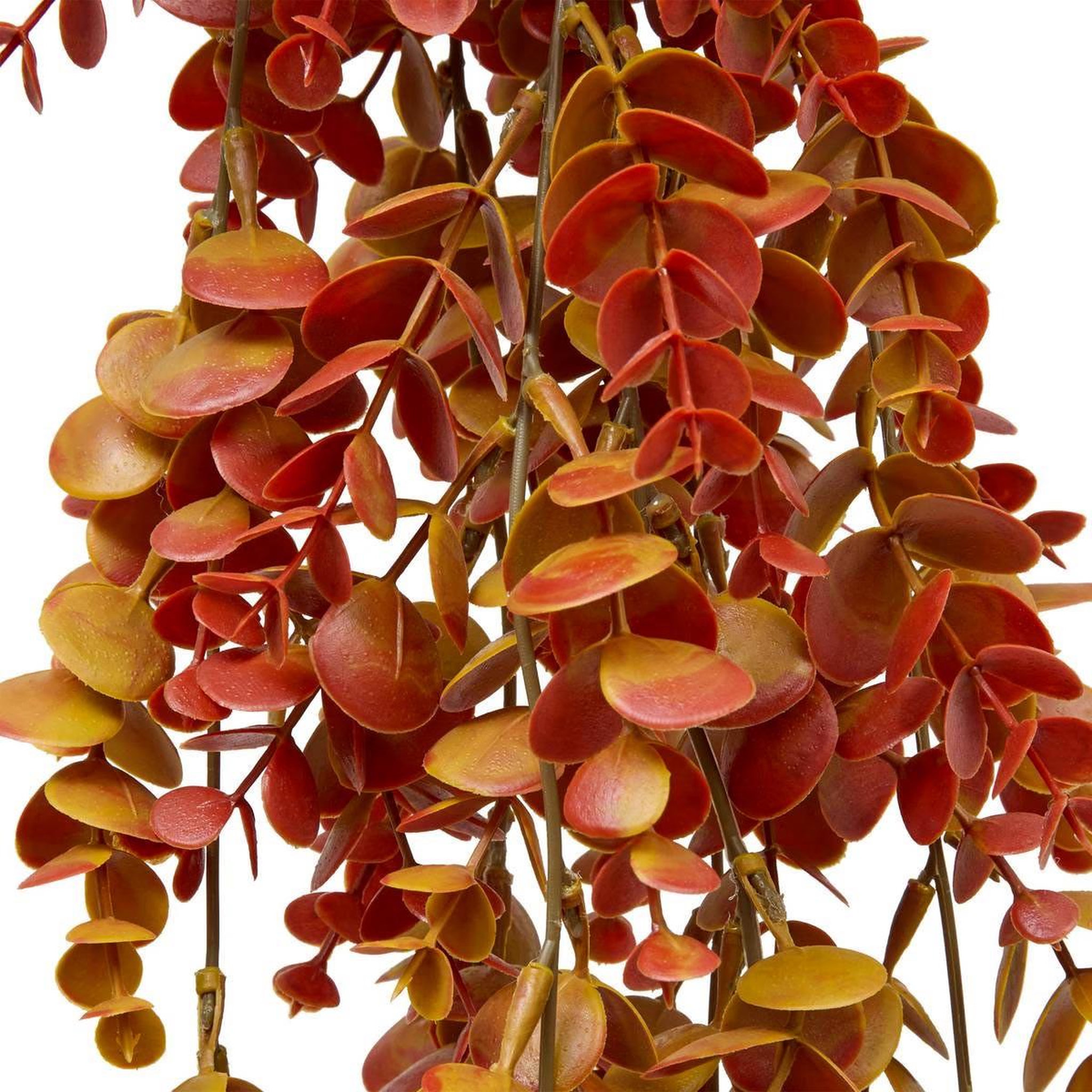 Voir la diapositive 2 : ATMOSPHERA Eucalyptus artificiel tombant  james  80cm orange