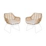 Voir la diapositive 4 : JARDILINE Lot de 2 fauteuils de jardin - Résine tressée/Acier - Imitation rotin - PEMBA