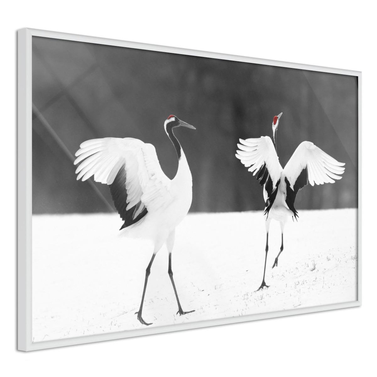 Paris Prix Affiche Murale Encadrée  Bird Date