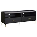 ATMOSPHERA Meuble TV 2 tiroirs 2 niches L120cm IRIS