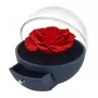 SC CRYSTAL Coffret à bijoux rose éternelle rouge sous forme de globe