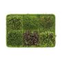 Voir la diapositive 6 : Paris Prix Plateau de Germination  Graines  30cm Vert