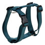 Voir la diapositive 1 : Paris Prix Harnais Réglable Chien  Essentiel  50-70cm Émeraude