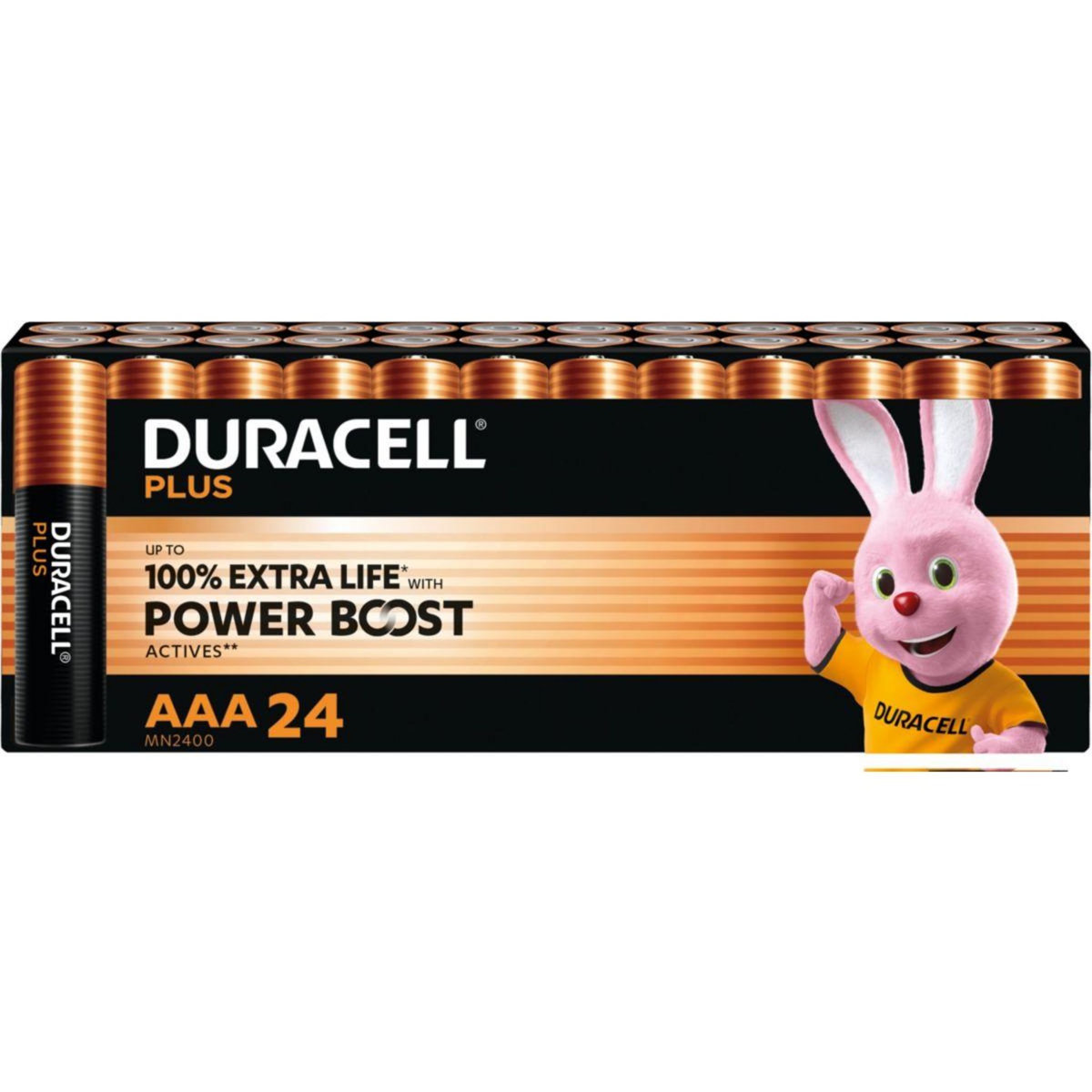 Duracell Pile PLUS POWERBOOST AAA X24 PANIERE