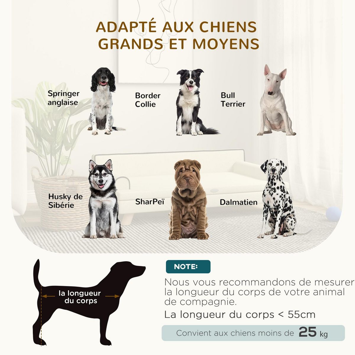 PAWHUT Canapé chien lit pour chien design scandinave coussin moelleux piètement bois dim. 100L x 62l x 32H cm polyester beige
