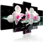 Voir la diapositive 1 : Paris Prix Tableau Imprimé  Rest of Orchids