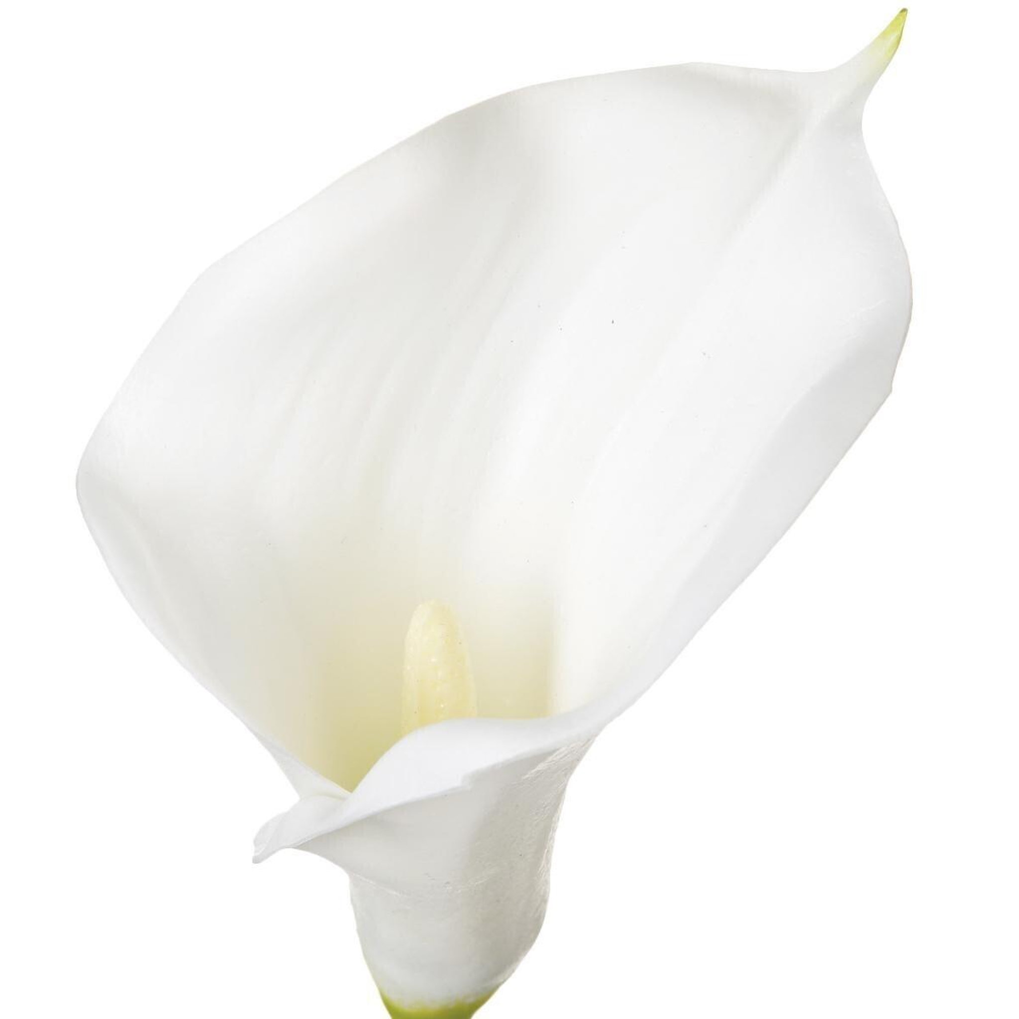 Voir la diapositive 2 : ATMOSPHERA Fleur artificielle  arôme  78cm blanc