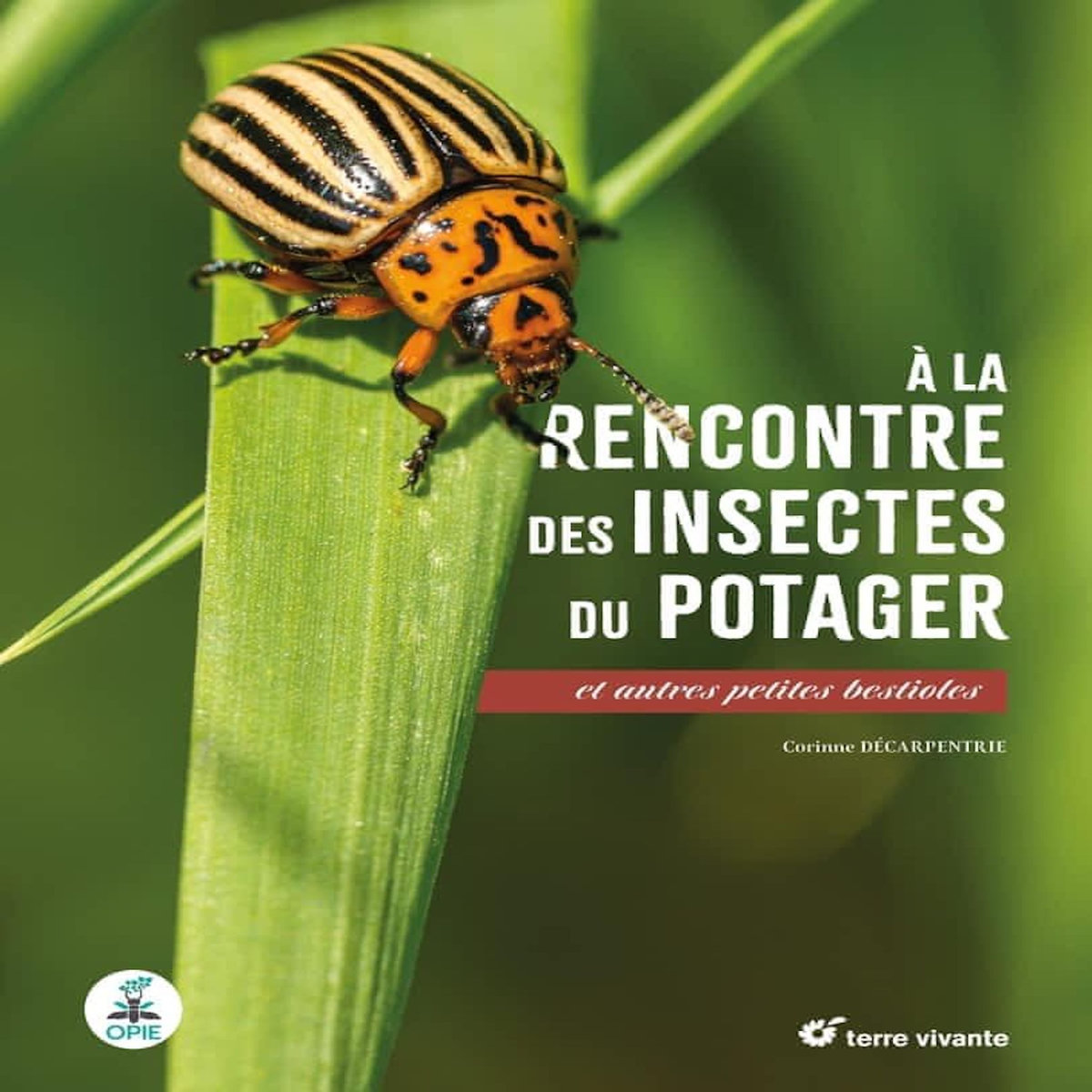 A LA RENCONTRE DES INSECTES DU POTAGER. ET AUTRES PETITES BESTIOLES, Décarpentrie Corinne