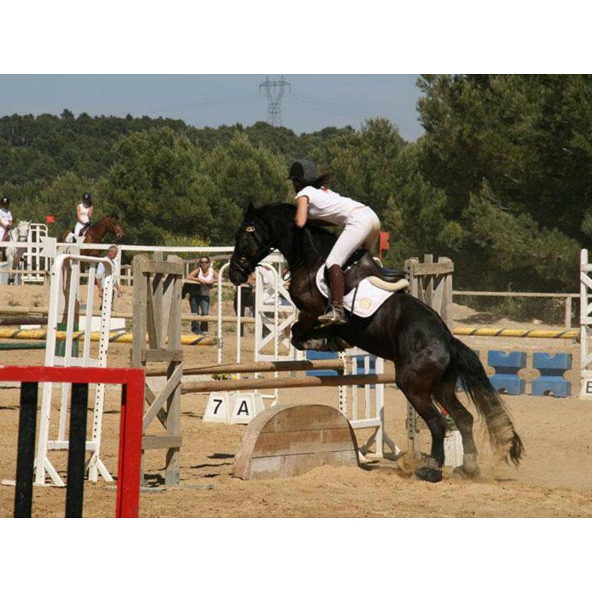 Smartbox 1 activité équestre d'environ 1h pour 2 personnes - Coffret Cadeau Sport & Aventure