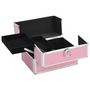 Voir la diapositive 2 : VIDAXL Mallette à maquillage 22x30x21 cm Rose Aluminium