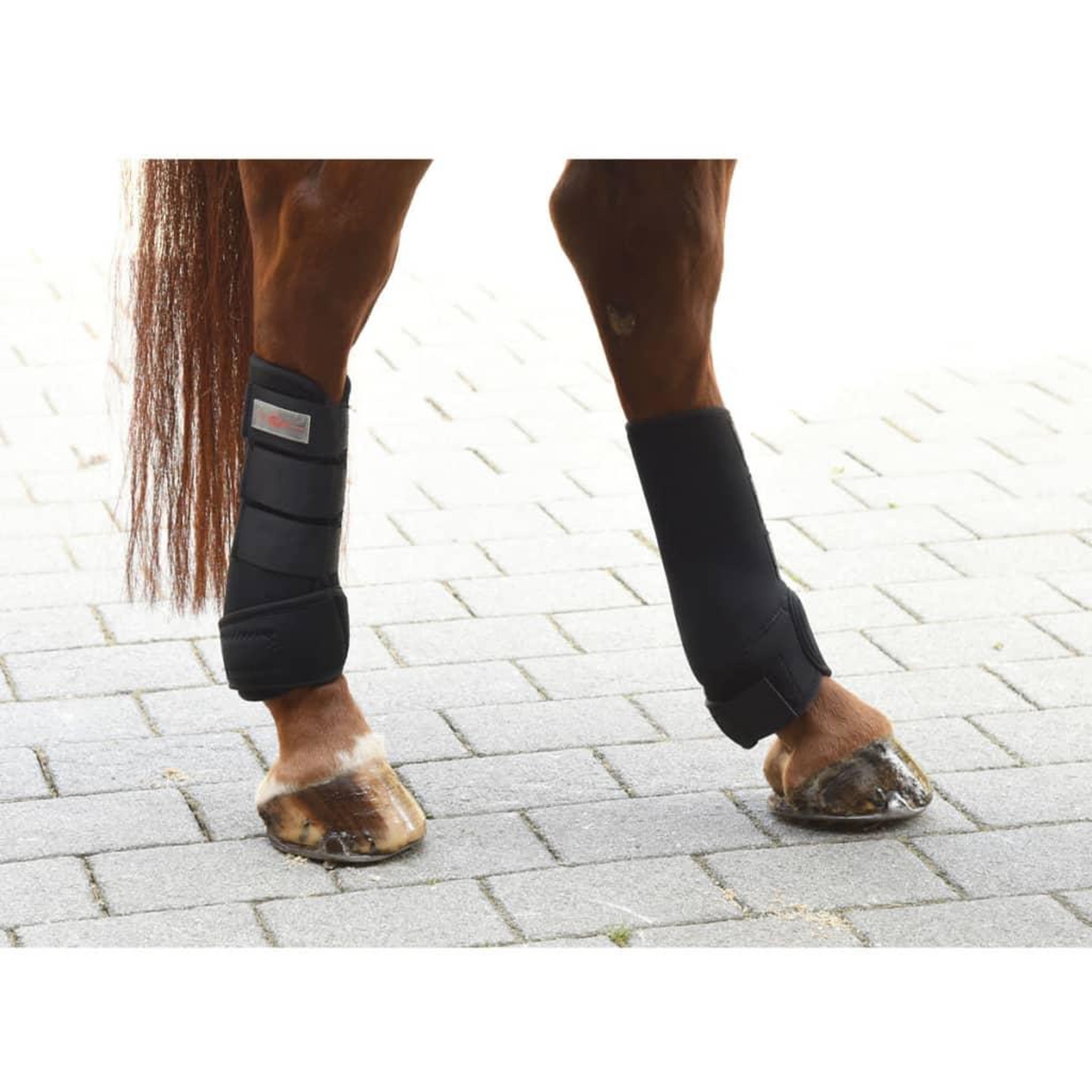 Voir la diapositive 5 : KERBL Kerbl Ensemble de guetre de cheval 4 pcs Cob Noir 320132